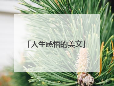 人生感悟的美文