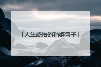 人生感悟的精辟句子