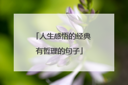 人生感悟的经典有哲理的句子