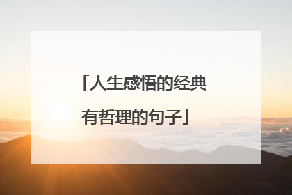 人生感悟的经典有哲理的句子