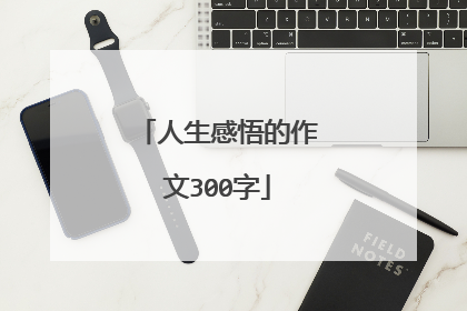 人生感悟的作文300字