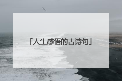 人生感悟的古诗句