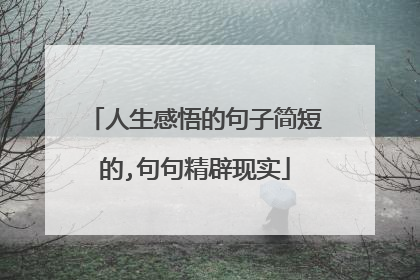 人生感悟的句子简短的,句句精辟现实