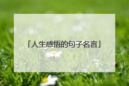 人生感悟的句子名言