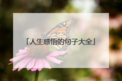 人生感悟的句子大全