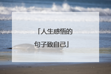 人生感悟的句子致自己