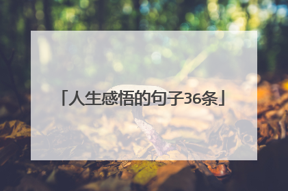 人生感悟的句子36条