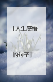 人生感悟的句子