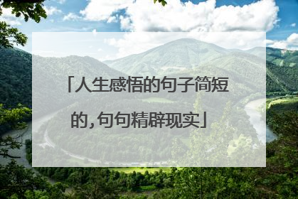 人生感悟的句子简短的,句句精辟现实