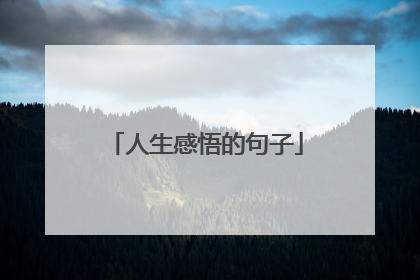 人生感悟的句子
