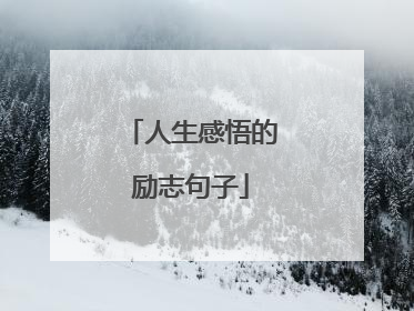 人生感悟的励志句子