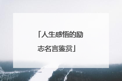 人生感悟的励志名言鉴赏