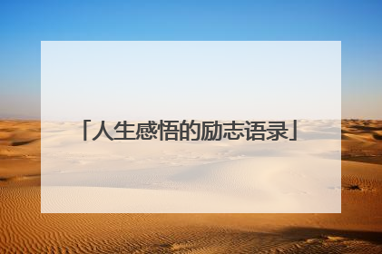 人生感悟的励志语录