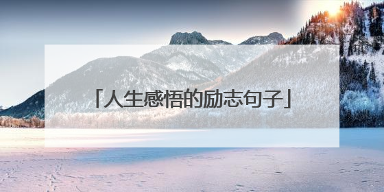 人生感悟的励志句子