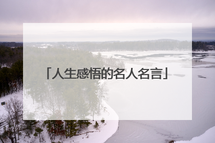 人生感悟的名人名言