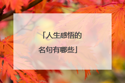 人生感悟的名句有哪些