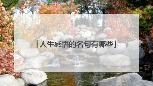 人生感悟的名句有哪些
