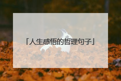 人生感悟的哲理句子