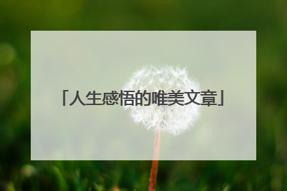 人生感悟的唯美文章