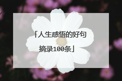 人生感悟的好句摘录100条