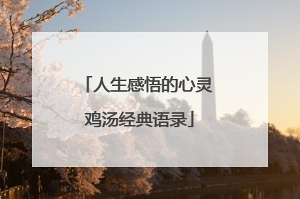 人生感悟的心灵鸡汤经典语录