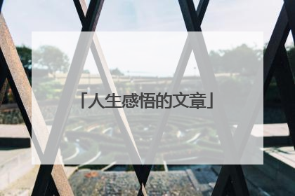 人生感悟的文章