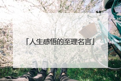 人生感悟的至理名言