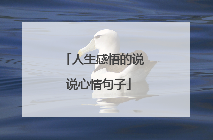 人生感悟的说说心情句子
