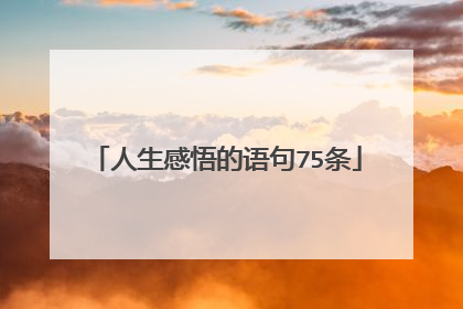 人生感悟的语句75条