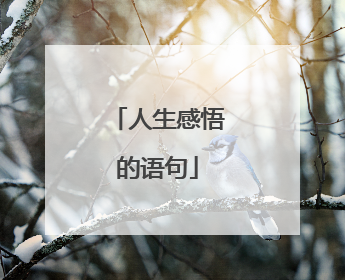 人生感悟的语句