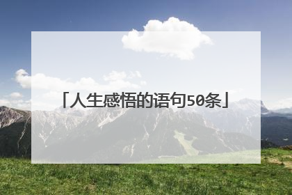 人生感悟的语句50条