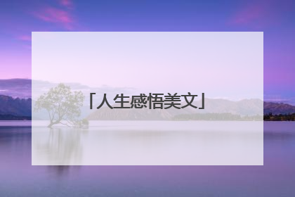 人生感悟美文