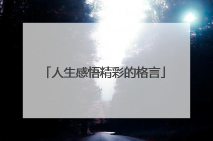 人生感悟精彩的格言
