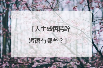 人生感悟精辟短语有哪些?
