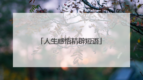 人生感悟精辟短语