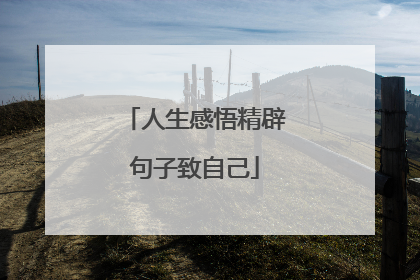 人生感悟精辟句子致自己