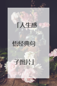 人生感悟经典句子图片
