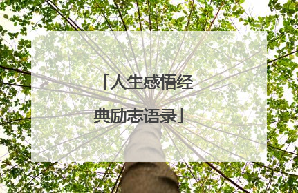 人生感悟经典励志语录