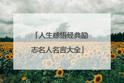 人生感悟经典励志名人名言大全