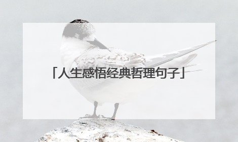 人生感悟经典哲理句子