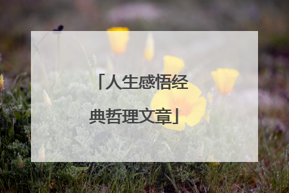人生感悟经典哲理文章