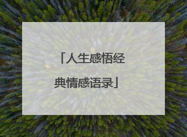 人生感悟经典情感语录