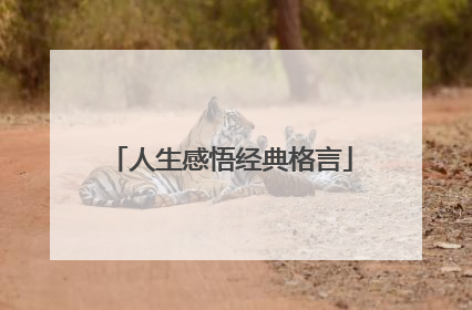 人生感悟经典格言