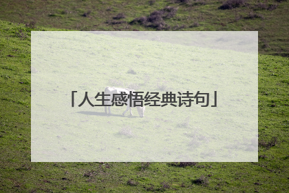 人生感悟经典诗句