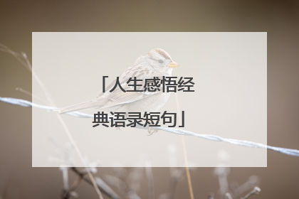 人生感悟经典语录短句