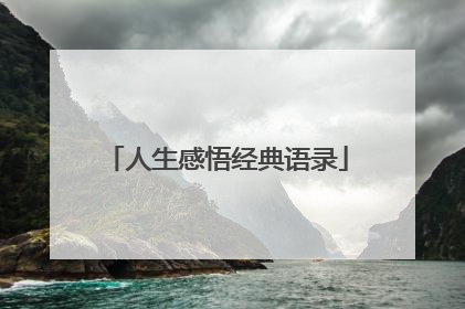人生感悟经典语录