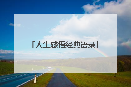 人生感悟经典语录