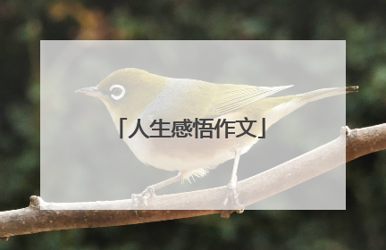 人生感悟作文