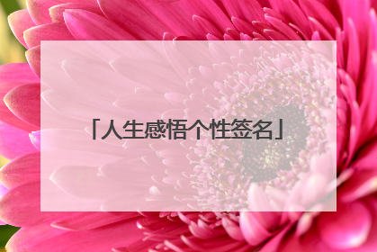 人生感悟个性签名