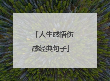 人生感悟伤感经典句子